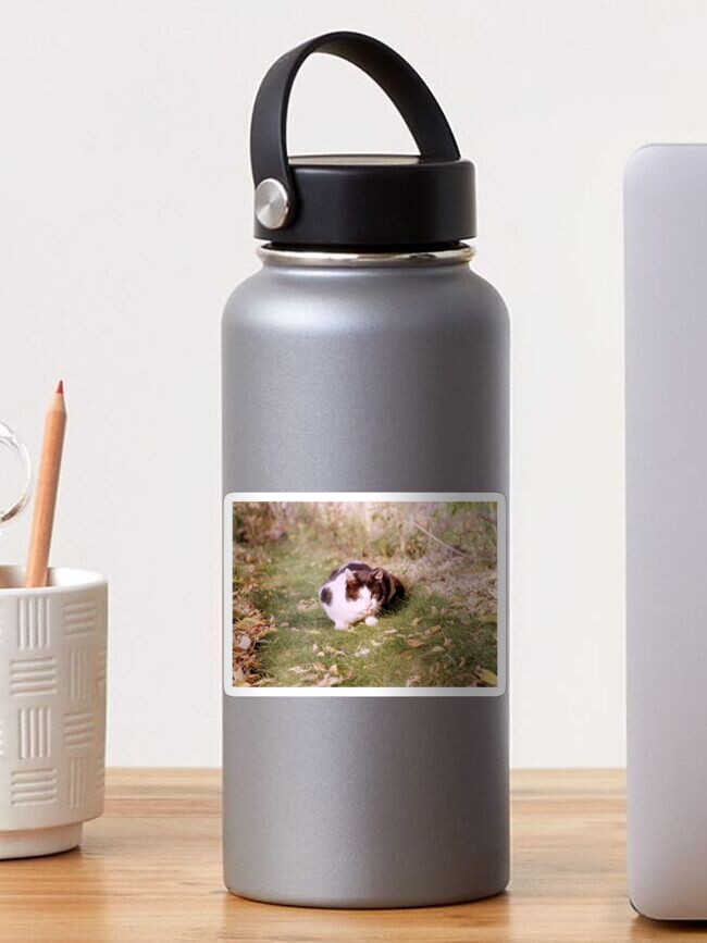 Thumbnail 1 von 3, Sticker, Kater Ragnar zeigt die Zunge designt und verkauft von Gourmetkater.