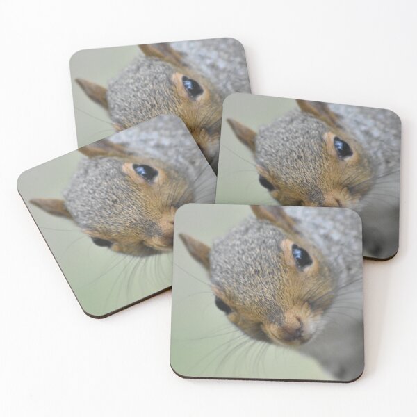 Item preview, Grey squirrel  designed and sold by Superpol44.