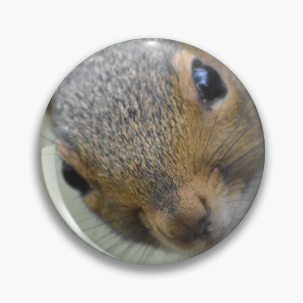 Item preview, Grey squirrel  designed and sold by Superpol44.