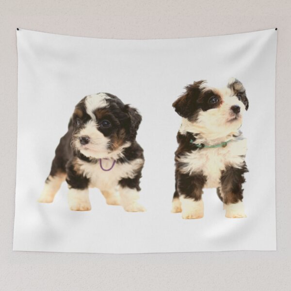 Item preview, Two cute Bernedoodles dogs ready to play designed and sold by Quality-goods.