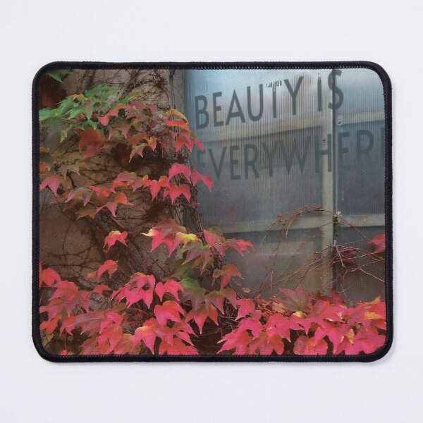Item preview, Red ivy on window "Beauty Is Everywhere" quote designed and sold by withasmiledsgn.