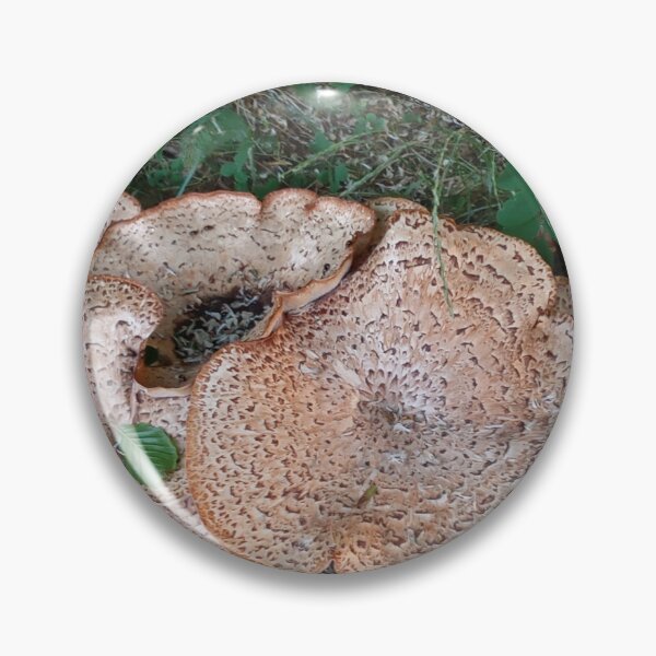 Item preview, Giant Mushrooms of the Wood designed and sold by mila-ola.
