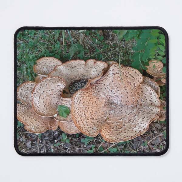 Item preview, Giant Mushrooms of the Wood designed and sold by mila-ola.