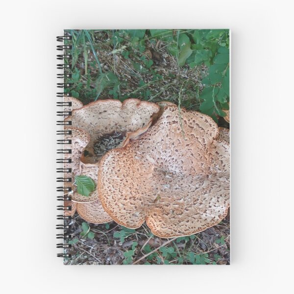 Item preview, Giant Mushrooms of the Wood designed and sold by mila-ola.