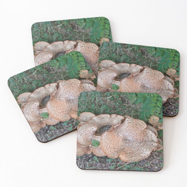 Item preview, Giant Mushrooms of the Wood designed and sold by mila-ola.