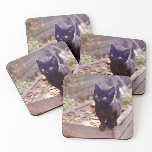 Item preview, Cat Charlie on the box designed and sold by Gourmetkater.