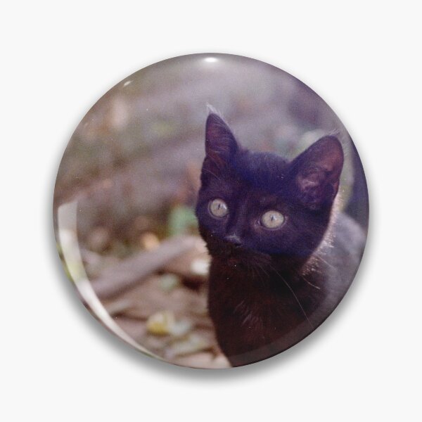 Item preview, Cat Charlie on the box designed and sold by Gourmetkater.