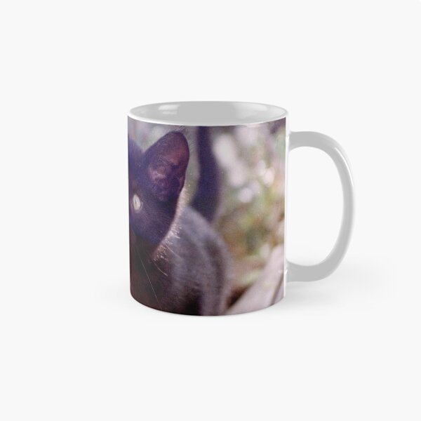 Item preview, Cat Charlie on the box designed and sold by Gourmetkater.