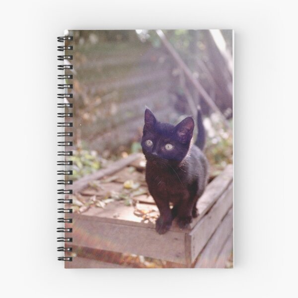 Item preview, Cat Charlie on the box designed and sold by Gourmetkater.