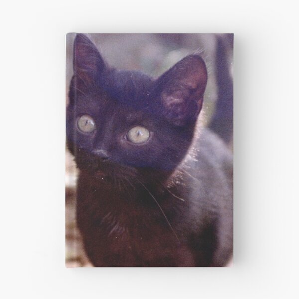 Item preview, Cat Charlie on the box designed and sold by Gourmetkater.