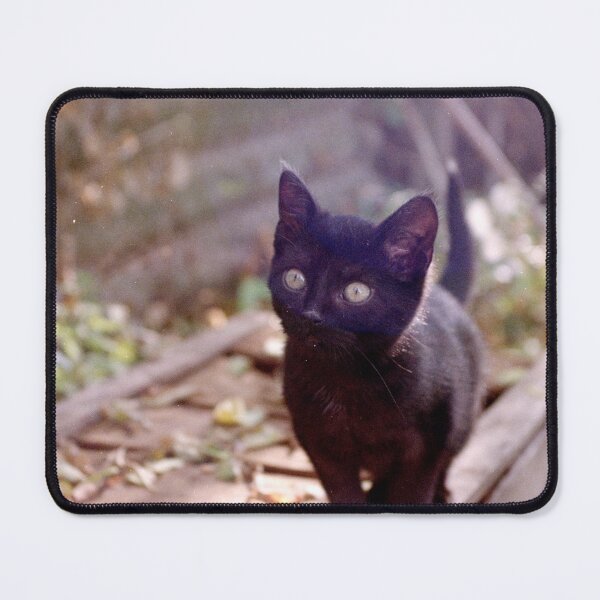 Item preview, Cat Charlie on the box designed and sold by Gourmetkater.