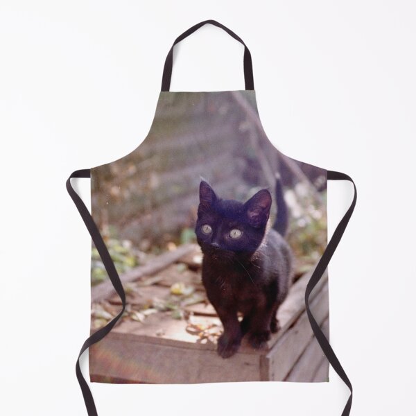 Item preview, Cat Charlie on the box designed and sold by Gourmetkater.
