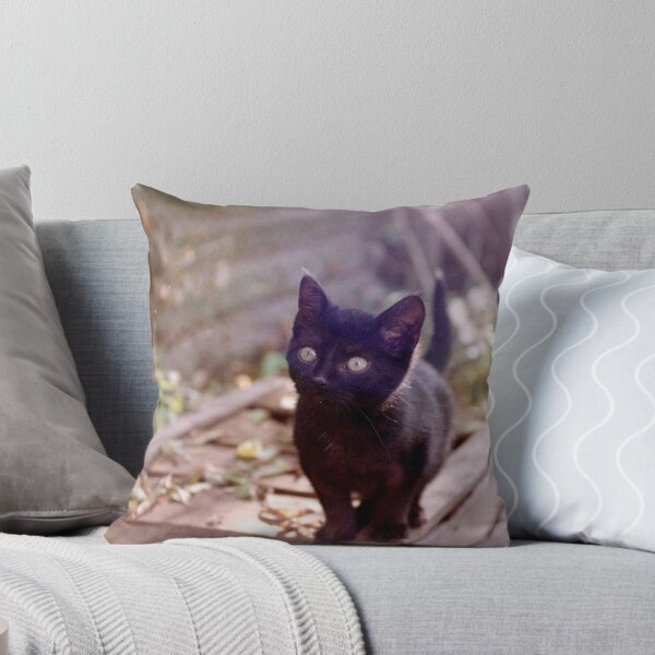 Item preview, Cat Charlie on the box designed and sold by Gourmetkater.