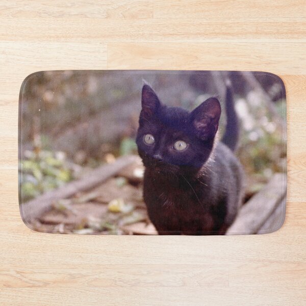 Item preview, Cat Charlie on the box designed and sold by Gourmetkater.