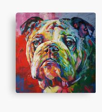 English Bulldog Canvas Print