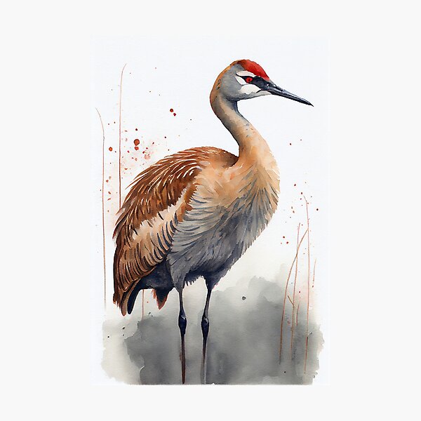 Item preview, American Sandhill crane - Watercolor paint designed and sold by ABArtByAlexST.