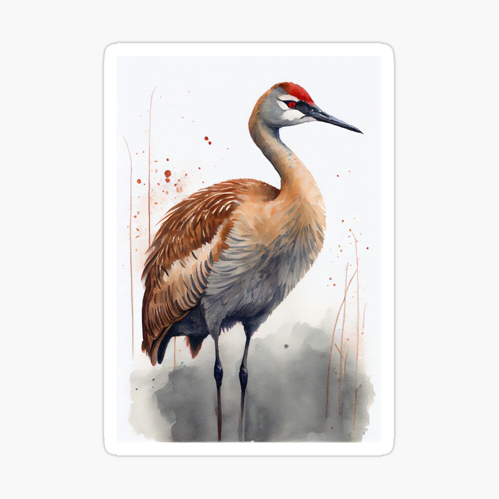 sandhill crane painting