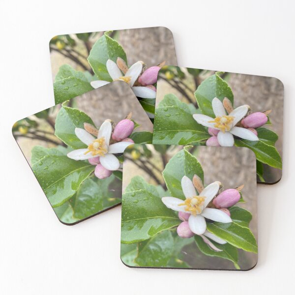 Item preview, lemon blossom in winter designed and sold by Ponted.