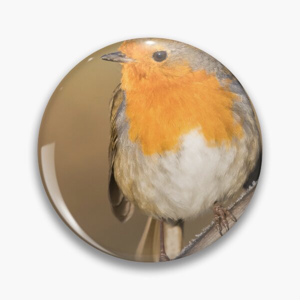 Item preview, Robin designed and sold by LaurenTucker.