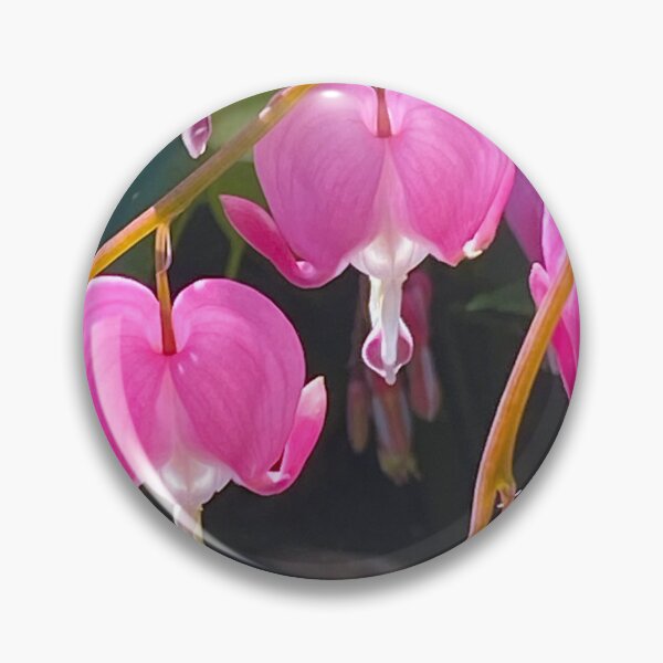 Item preview, Bleeding Heart Without Words  designed and sold by Wolfcreek1.