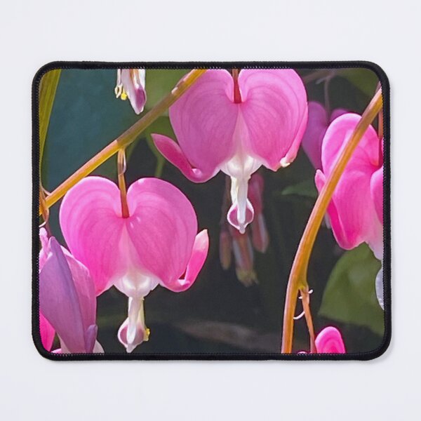 Item preview, Bleeding Heart Without Words designed and sold by Wolfcreek1.