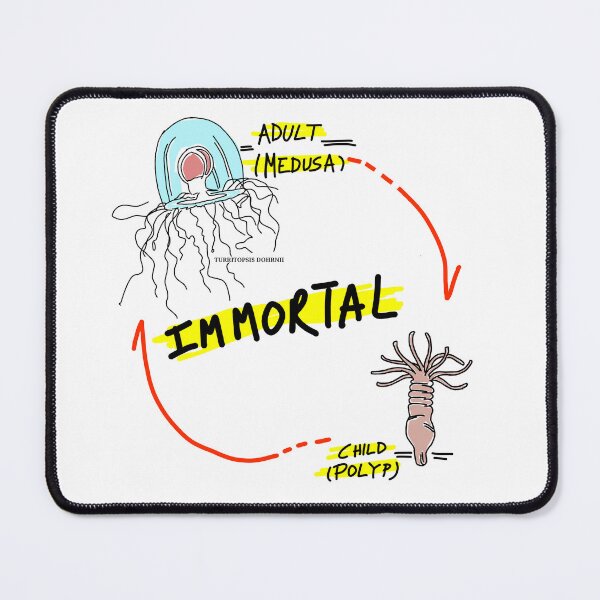 Item preview, Immortal Jelly Fish designed and sold by SatyaYug.