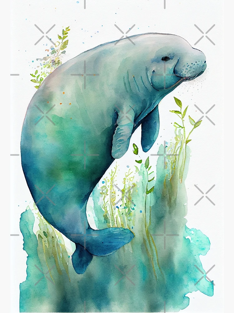 Willy wonka manatee original painting, watercolor online wonka manatee art, manatee watercolor original willy wonka art