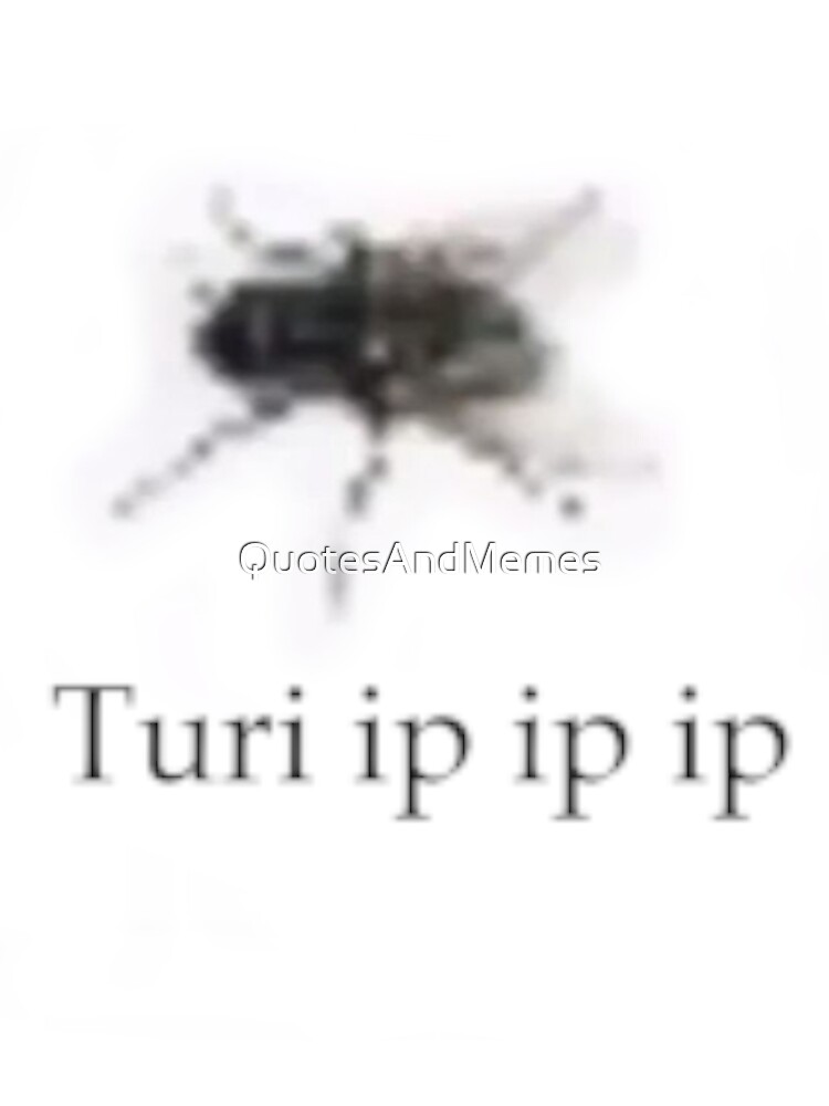 Turi Ip Ip Fly Shitpost Low Quality Funny Meme