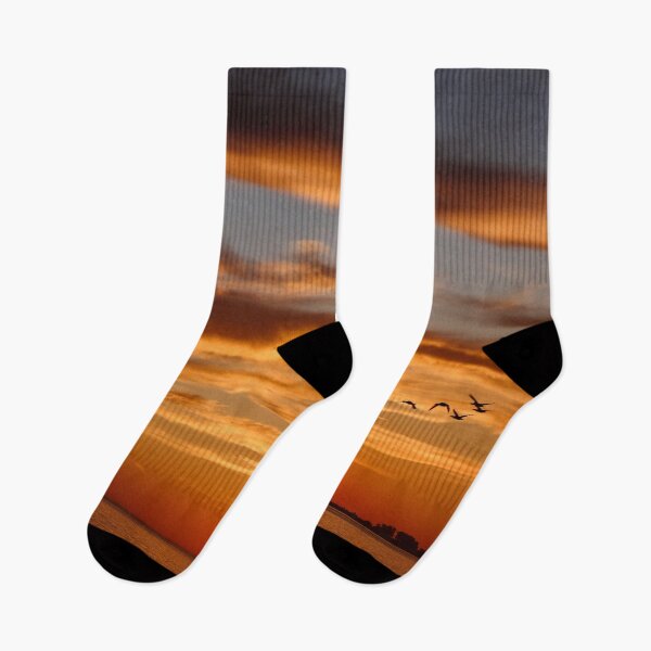Item preview, Sun line designed and sold by Maxiverse.