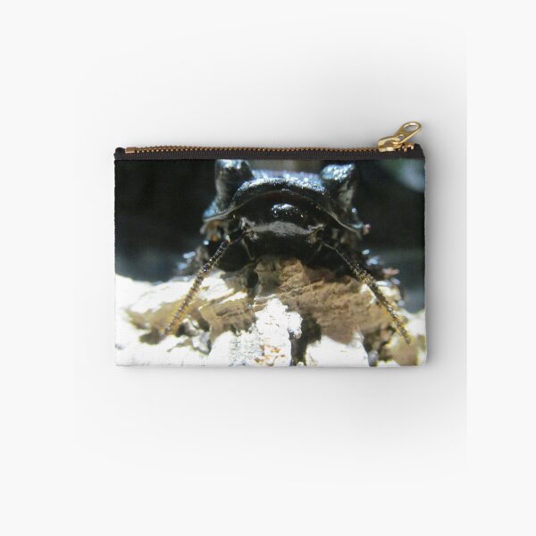 Item preview, Madagascar Hissing Roach  designed and sold by MoonlightMantid.