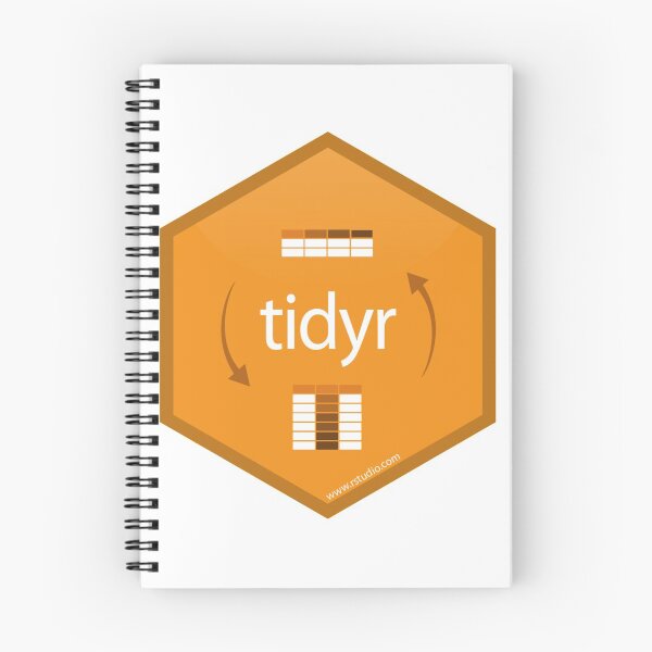 Artikelvorschau, tidyr – tidyverse-Bibliothek entworfen und verkauft von Taivo Pungas.
