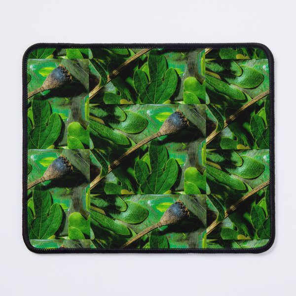 Item preview, Enchanted Botanicals Sassafras & Poppy New Camo designed and sold by Wolfcreek1.