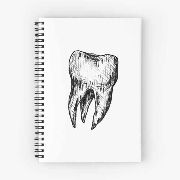 Item preview,  Sketch of a tooth - Dental designed and sold by guaka-molly.