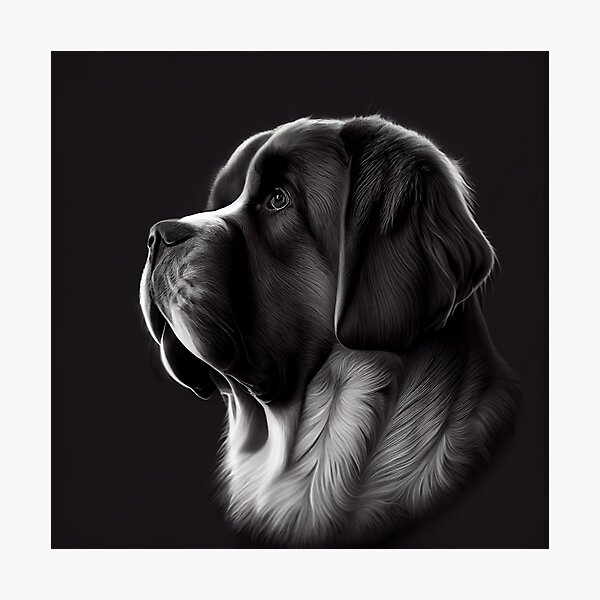 Item preview, Saint bernard dog. Mountain dog with cute face. designed and sold by MimozaStudio.