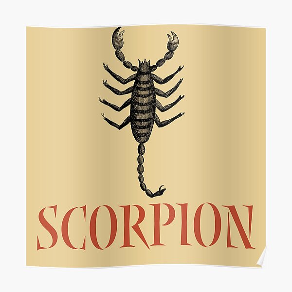 Scorpion danger best quotes 2023 Scorpion danger best quotes 2023