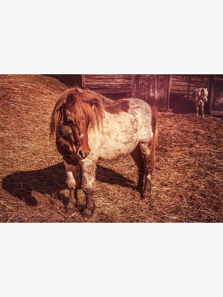 &ldquo;Muddy Stockings&rdquo; Sticker for Sale by butterbean57 | Redbubble