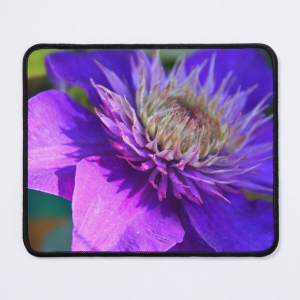 Item preview, Clematis designed and sold by heatherfriedman.