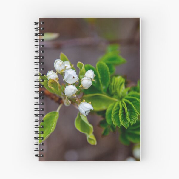 Item preview, Spring is Here designed and sold by Daniel's Destinations.