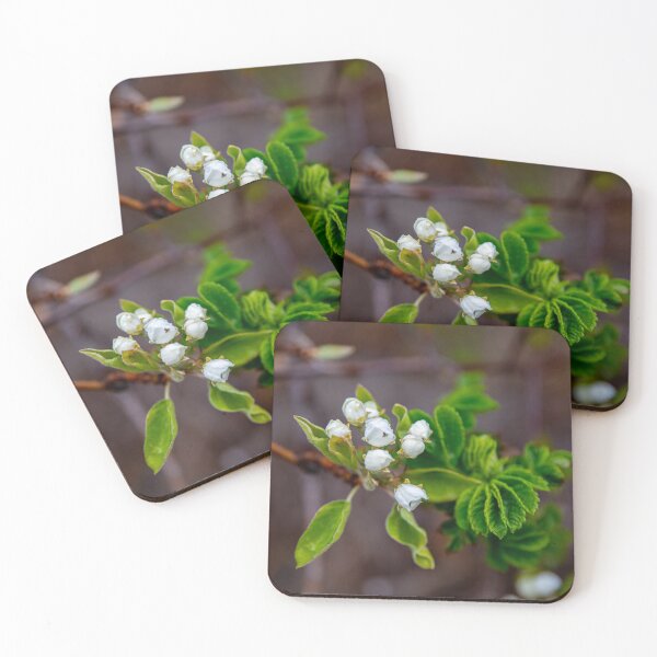 Item preview, Spring is Here designed and sold by Daniel's Destinations.