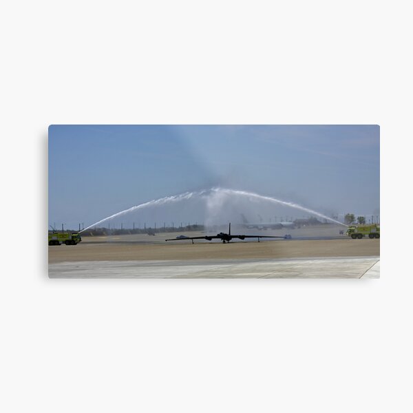 Last flight Metal Print