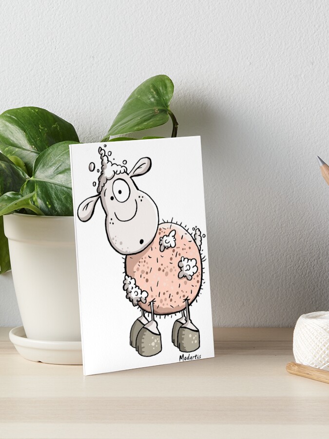 Download Schafe lustig HD Schafe Lustig