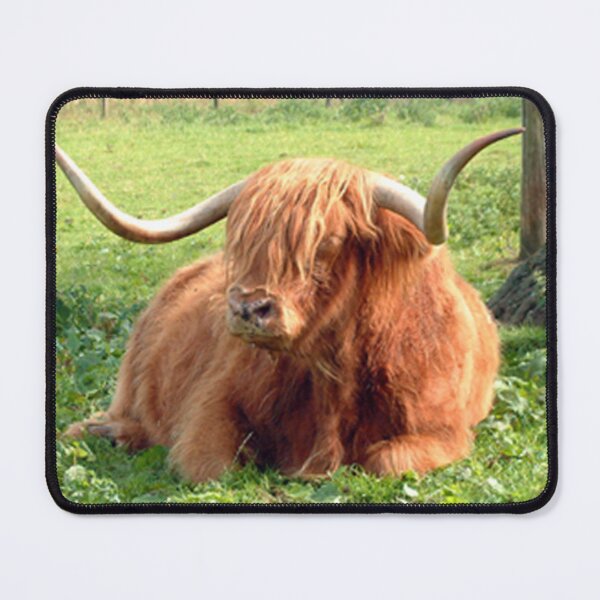 Item preview, Heilan Coo designed and sold by tomg.