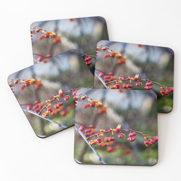 Item preview, Winter Berries designed and sold by Daniel's Destinations.