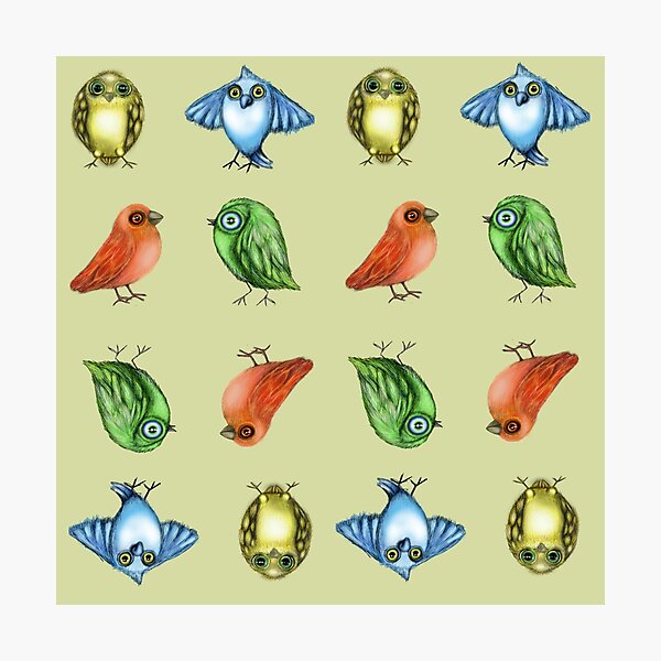 Bird Pattern Photographic Print