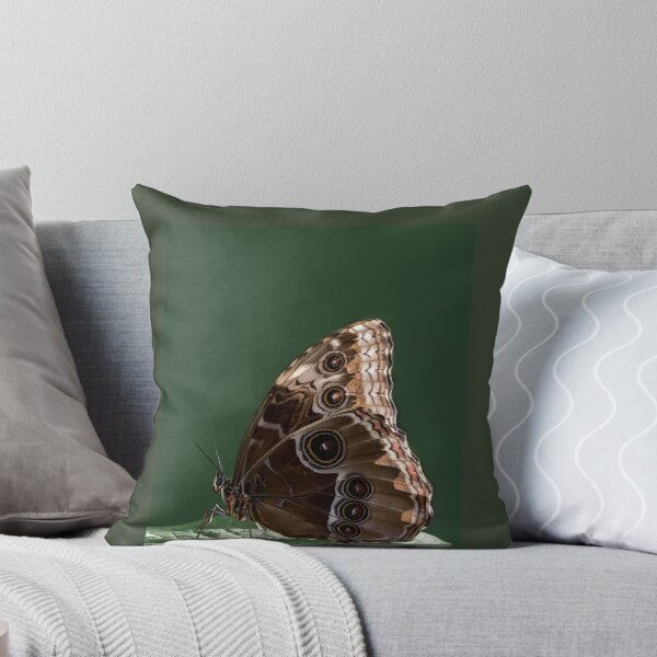 Item preview, Morpho peleides butterfly designed and sold by pietrofoto.