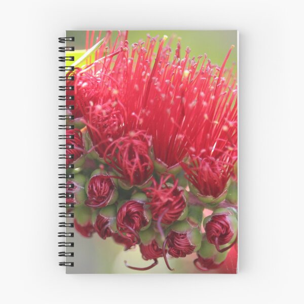 Item preview, Red Bottlebrush - Callistemon designed and sold by NanaRusty.
