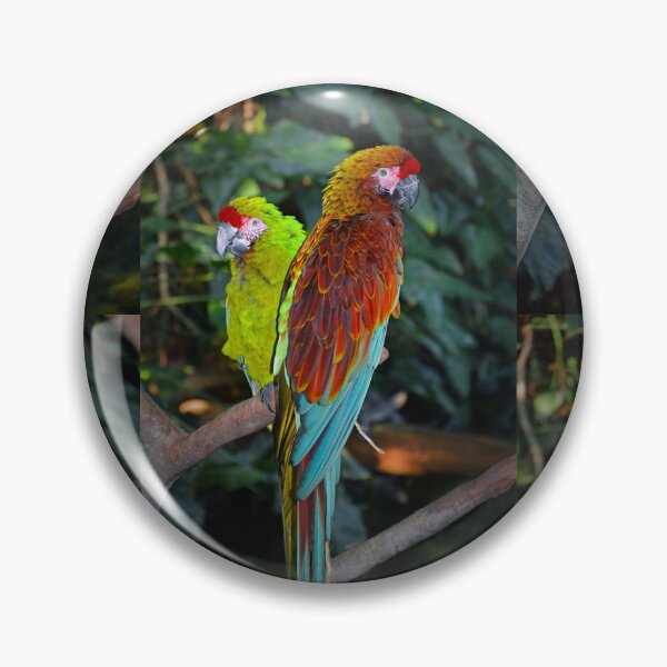 Item preview, Macaws  designed and sold by Savannah Gibbs.