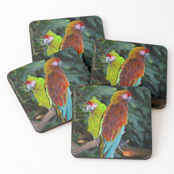 Item preview, Macaws  designed and sold by Savannah Gibbs.