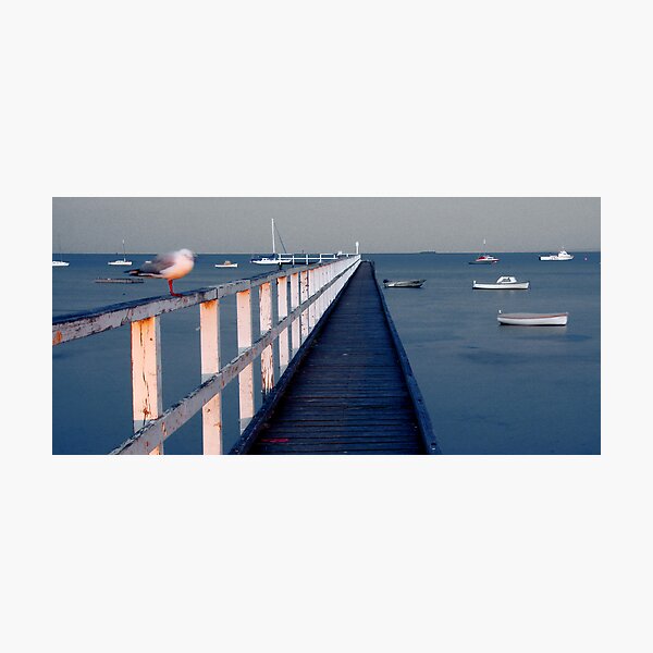 SORRENTO, VICTORIA, AUSTRALIA Photographic Print