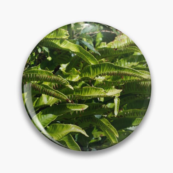 Item preview, Lush Green Ferns designed and sold by thelemmingface.